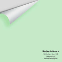 Big Paint Chip - Nottingham Green 569 - Colour Squared Inc.