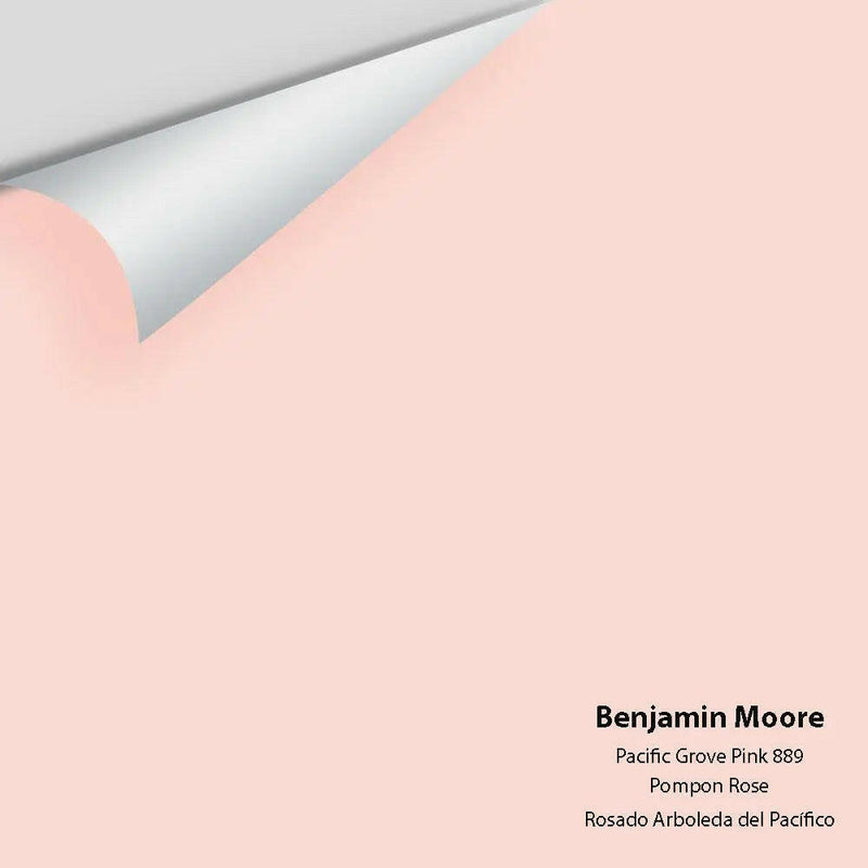 Big Paint Chip - Pacific Grove Pink 889 - Colour Squared Inc.