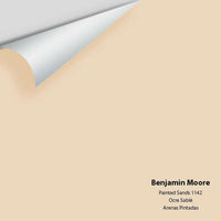 Big Paint Chip - Painted Sands 1142 - Colour Squared Inc.
