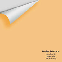 Big Paint Chip - Peach Crisp 159 - Colour Squared Inc.