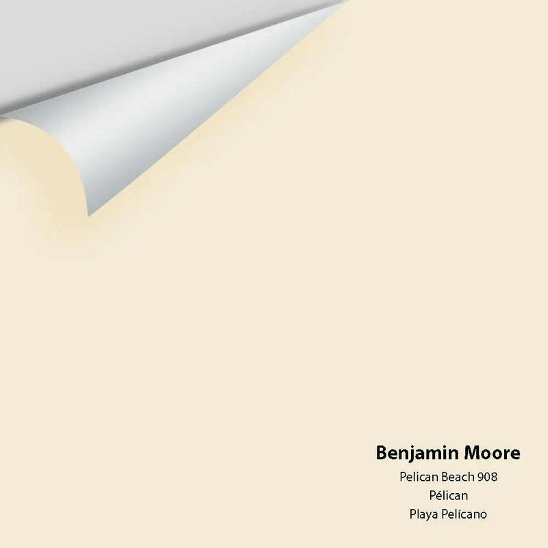 Big Paint Chip - Pelican Beach 908 - Colour Squared Inc.