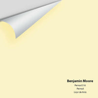 Big Paint Chip - Pernod 316 - Colour Squared Inc.