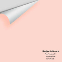 Big Paint Chip - Pink Powderpuff 1 - Colour Squared Inc.