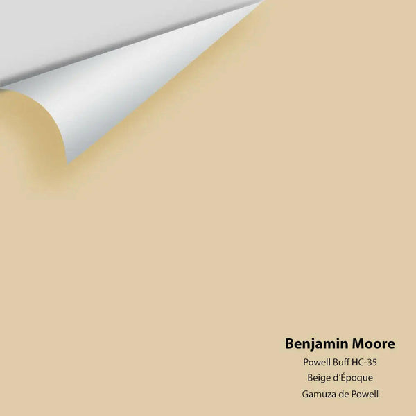 Big Paint Chip - Powell Buff HC-35