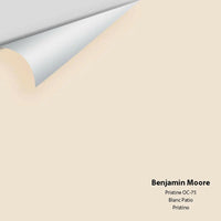 Big Paint Chip - Pristine OC-75 - Colour Squared Inc.