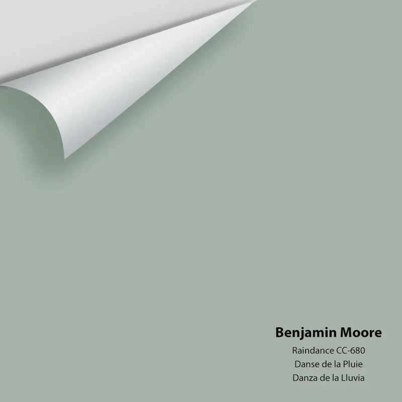 Big Paint Chip - Raindance 1572 / CC-680 - Colour Squared Inc.