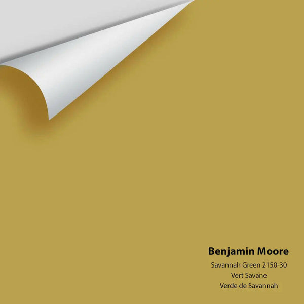 Benjamin Moore - Savannah Green 2150-30 Colour Sample