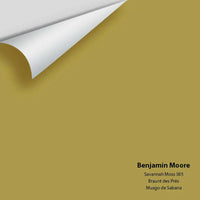 Big Paint Chip - Savannah Moss 385 - Colour Squared Inc.