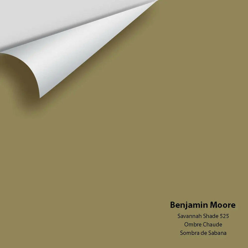 Big Paint Chip - Savannah Shade 525 - Colour Squared Inc.