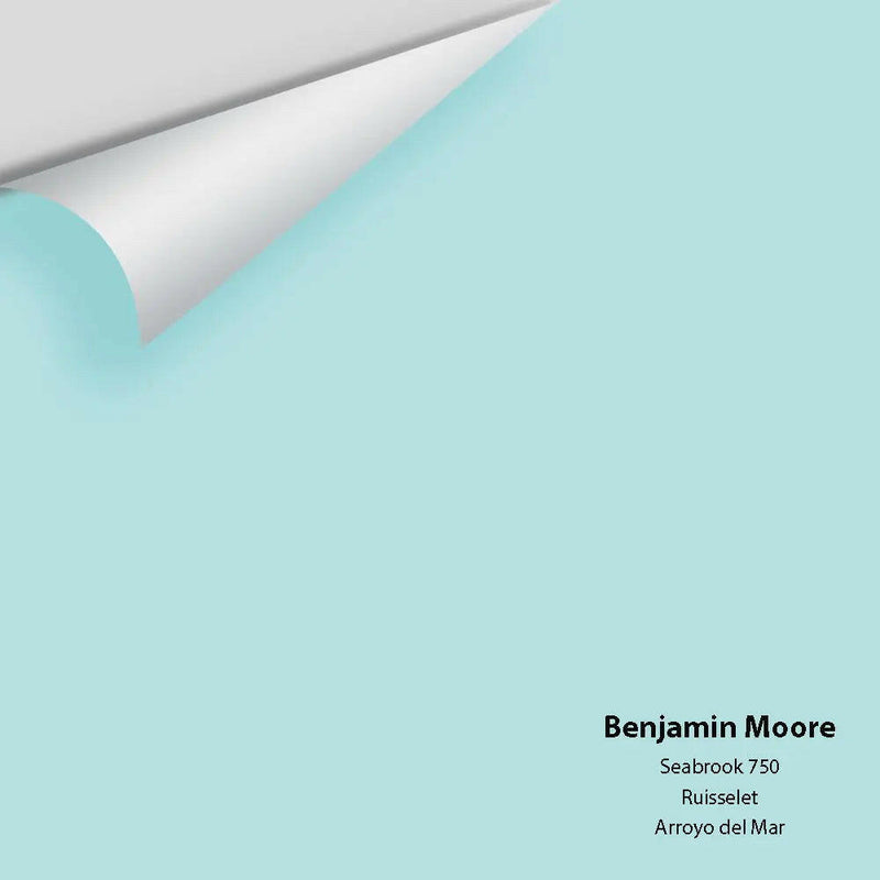 Big Paint Chip - Seabrook 750 - Colour Squared Inc.