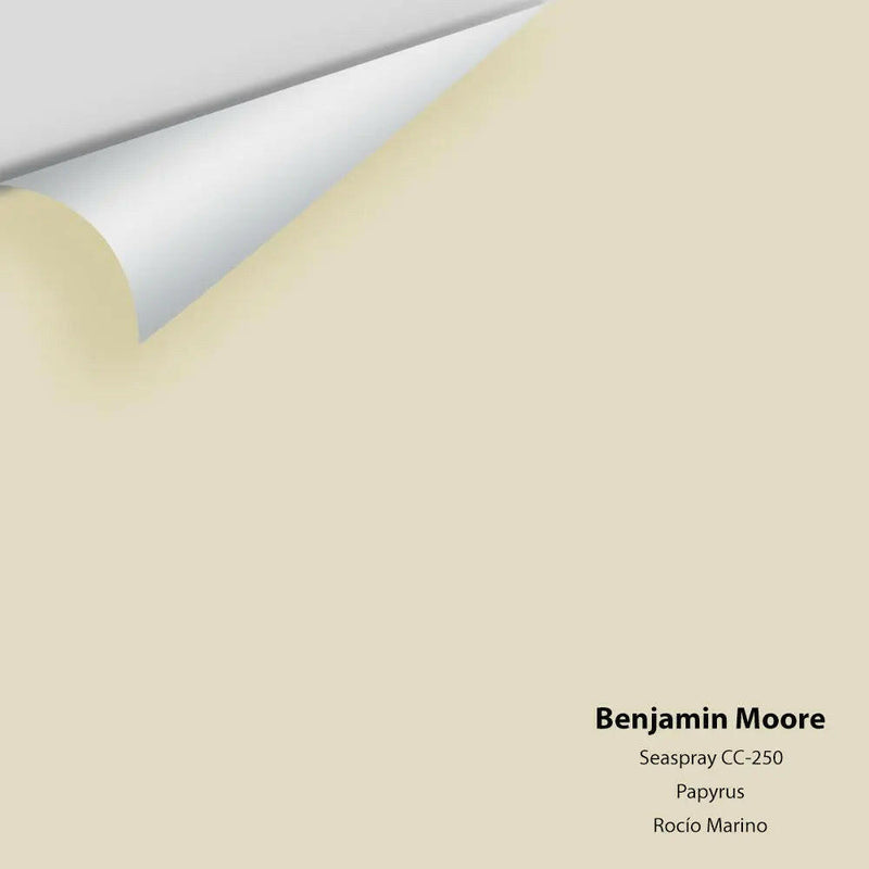 Big Paint Chip - Seaspray 941 / CC-250 - Colour Squared Inc.