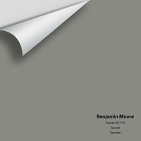 Big Paint Chip - Secret AF-710 - Colour Squared Inc.
