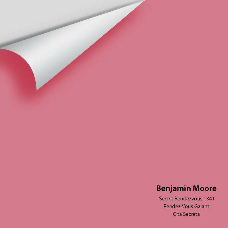 Big Paint Chip - Secret Rendezvous 1341 - Colour Squared Inc.
