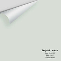 Big Paint Chip - Silver Crest 1583 - Colour Squared Inc.