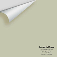 Big Paint Chip - Spanish Olive 1509 / CC-606 - Colour Squared Inc.