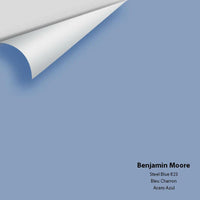 Big Paint Chip - Steel Blue 823 - Colour Squared Inc.
