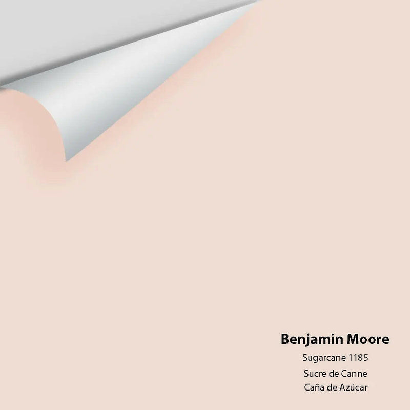 Big Paint Chip - Sugarcane 1185 - Colour Squared Inc.