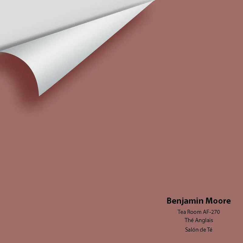 Big Paint Chip - Tea Room AF-270 - Colour Squared Inc.