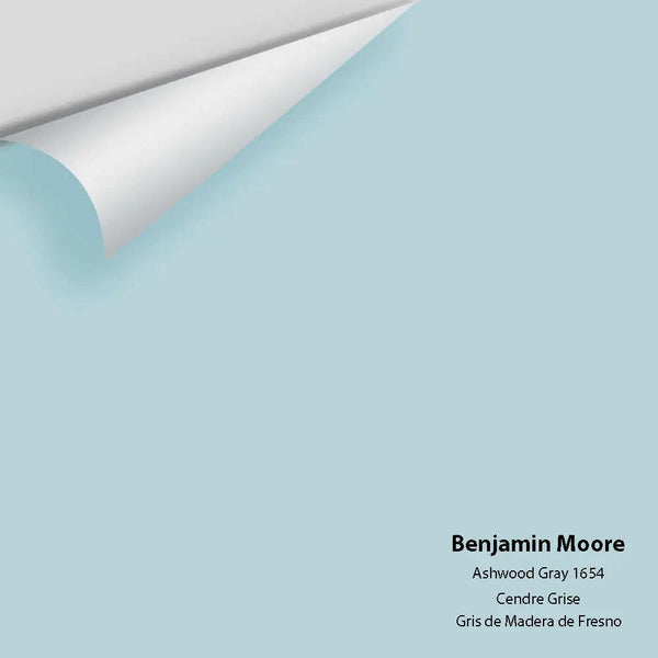 Big Paint Chip - Ashwood Gray 1654