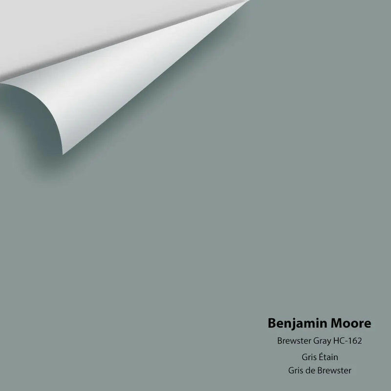 Benjamin Moore - Brewster Gray HC-162 Colour Sample