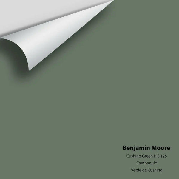 Benjamin Moore - Cushing Green HC-125 Colour Sample