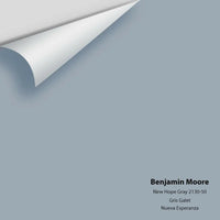 Big Paint Chip - New Hope Gray 2130-50 - Colour Squared Inc.