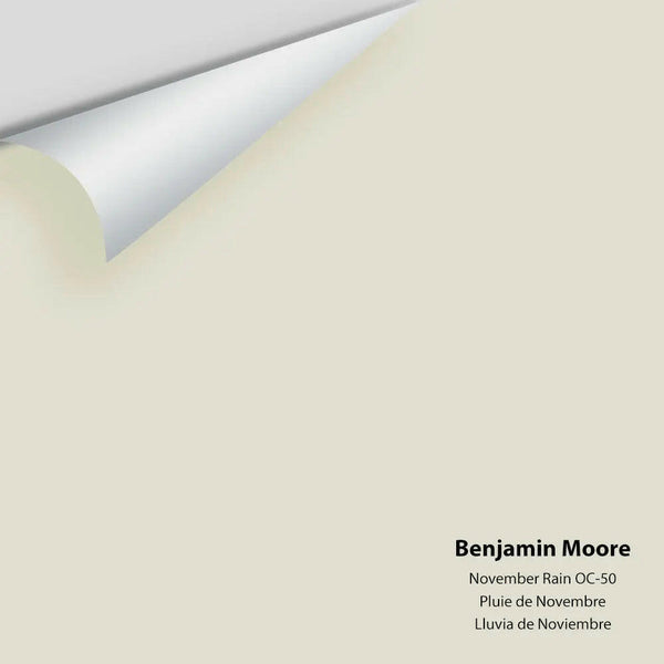 Benjamin Moore - November Rain 2142-60 / OC-50 Colour Sample