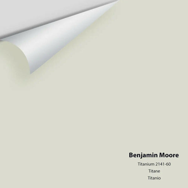 Benjamin Moore - Titanium 2141-60 / OC-49 Colour Sample