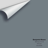 Benjamin Moore - Wolf Gray 2127-40 Colour Sample